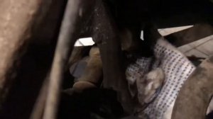 Оборвало привод на хонде