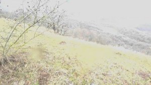 МОЙ КОП ПО СТАРИНЕ НА КАВКАЗЕ