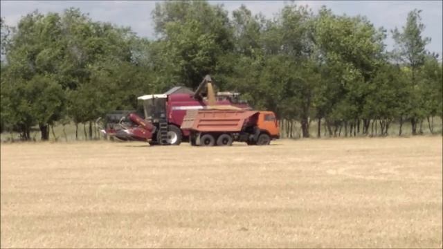 Комбайн Полесье КЗС 1218  Рассыпался подшипник соломотряса  Пересел на МТЗ 1025  С*ка мощный