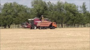 Комбайн Полесье КЗС 1218  Рассыпался подшипник соломотряса  Пересел на МТЗ 1025  С*ка мощный