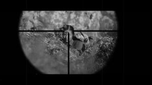 Преодоление себя - путь к Великой Победе! Павличенко Л. М.mp4