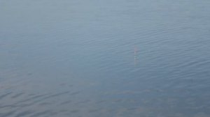 Экоферма "Старый Сиг"