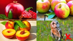 Викторина изучаем машинки. Логика для детей о транспорте