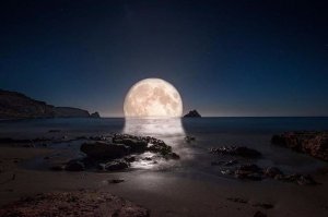 В.А.Моцарт. Маленькая ночная серенада.