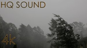 Ливень (4К, HQ sound)