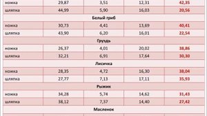 МОЖНО ЛИ ЕСТЬ ГРИБЫ?