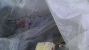 Компрессор для дымогенератора холодного копчения (Простой и доступный)