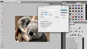 Работа с размерами фото-изображений в Adobe Premiere Pro