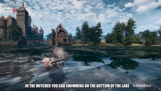 The Witcher 3 vs Red Dead Redemption 2 - сравнение графики и физики
