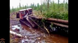 Воины бездорожья