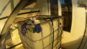 Выгонка лука на зелень в помещении. Прибыльный бизнес. Основные моменты организации теплицы.