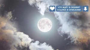 Совместимость мужчины Стрельца и женщины Лев