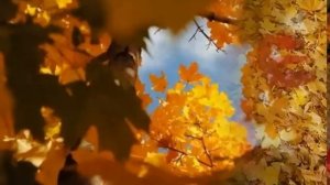 Иоганн Штраус Медленный вальс