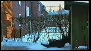 Cosmos TV. Cinema (Заставка + Промо + Анонс)