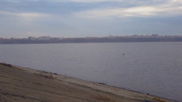 Заволжье. Осенняя прогулка от Сосновки до Первомайского. Чебоксары. 13 октября 2021 смотреть онлайн