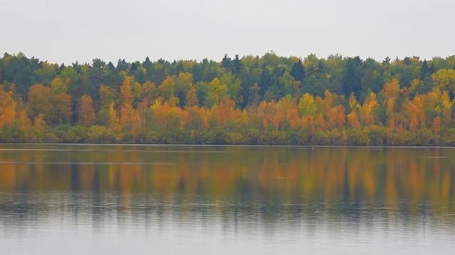 Фрязино. Озеро Большое.