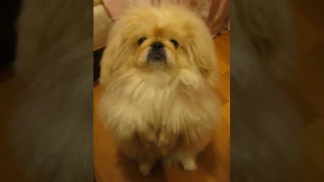 MVI 73972 смотреть онлайн