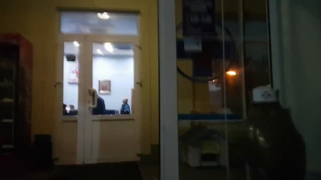 Ночь в ветеринарной клинике. Почему задыхалась собака Алиса? смотреть онлайн