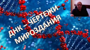 Как отражено мироздание в структуре ДНК? Шмидт Давид Николаевич