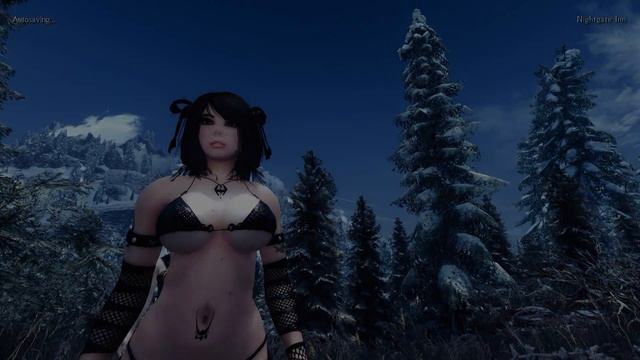 Skyrim: PIE Standalone Followers смотреть онлайн