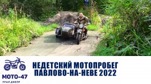 Лесные тропы Павлово-на-Неве, такого никто не ожидал!