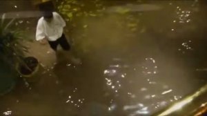 Новый год в Египте