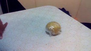 Песочный пирог с черничным вареньем. Тертый пирог с  вареньем