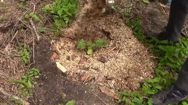 У художника в деревне просто опускаются руки
