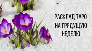 РАСКЛАД ТАРО "МОИ ФИНАНСЫ ДО КОНЦА ГОДА " 4 ВАРИАНТА
