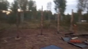 23.09.23 Постройка коровника