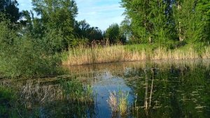 Ставок в Гуково