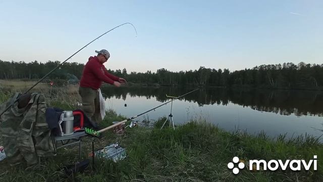 Рыбалка на фидер в Подмосковье #рыбалка #фидер #лещ #плотва #красота #рыбалканафидер #подлещик #fis смотреть онлайн