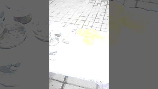 Продажа грибов и кормлю голубя смотреть онлайн