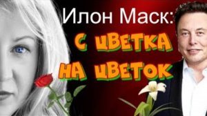 Почему Илон Маск так любит женщин? Есть ли возможность выйти за него замуж?