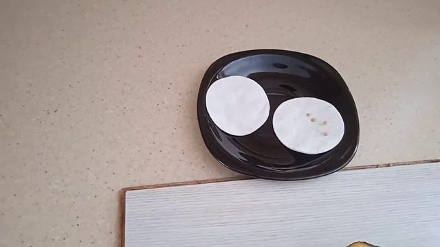 СЕЗОН 2023 Посадка семян баклажанов на рассаду Семена из самого овоща Эксперимент. смотреть онлайн