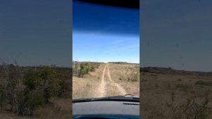 Цимлянское водохранилище.Криевская.