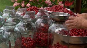 Kend Heyati - Жизнь в деревне Homemade Dogwood Compote_ A Winter Tradition 🍂