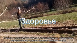 Значение имени Эльза. Толкование, судьба, характер