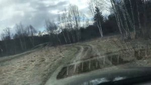 Аркана на легком бездорожье