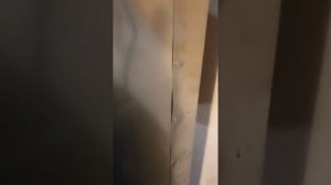 инкубатор АИ 1400