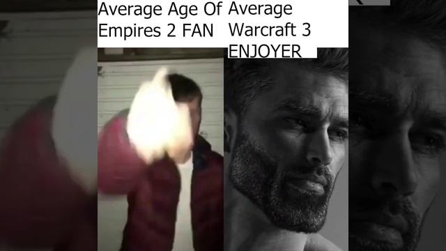 Average Age Of Empires 2 Fan VS Average Warcraft 3 Enjoyer_1