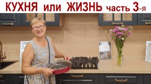 КУХНЯ или ЖИЗНЬ, часть 3-я - тяжелый выбор:  наши КОТоБудни (25-27 августа 2024г.)