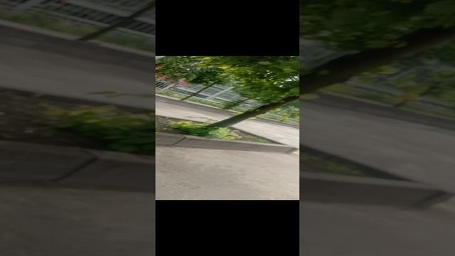 ЭД9М отправляется с станции подлипки дачные смотреть онлайн