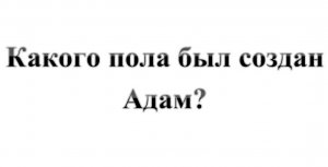 53. Какого пола был Адам когда создание Евы еще не планировалось? :-) Сказки про БИБЛИЮ.