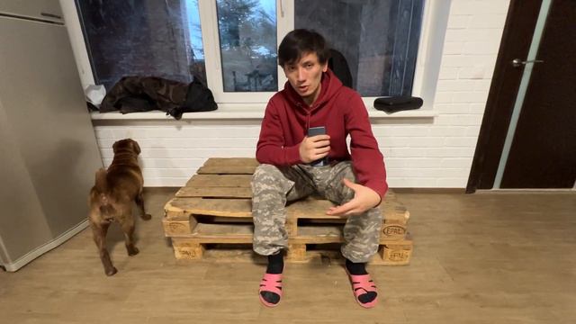 Про слепых собак! О правилах жизни с слепой собакой! смотреть онлайн