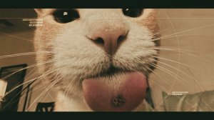 Khmuryy Sentyabr - Concentratus