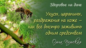 Укусы, царапины, раздражения – как заживить одним средством | Здоровье на даче. Дача как есть 2023