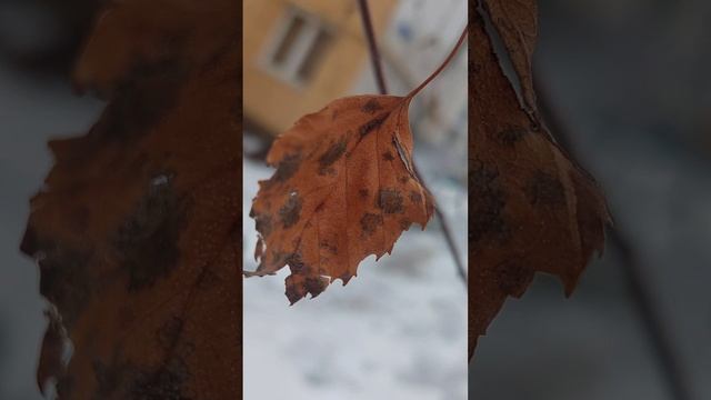 Можно любить зиму и нести в себе тепло, можно предпочитать лето, оставаясь осколком льда.