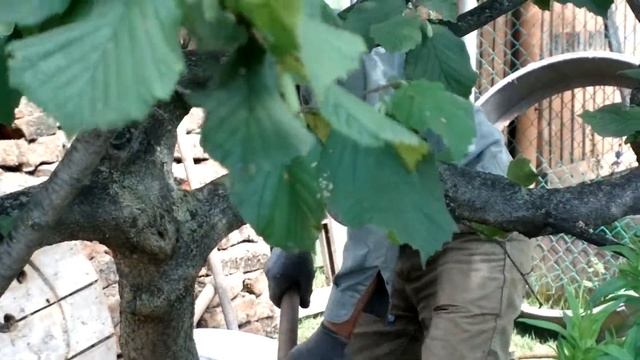 28.07.2019 ч.1. Закапываем собранный колодец. Канализация, замена кирпичного дренажного колодца смотреть онлайн