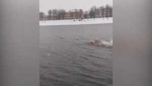 купальщицы моржи